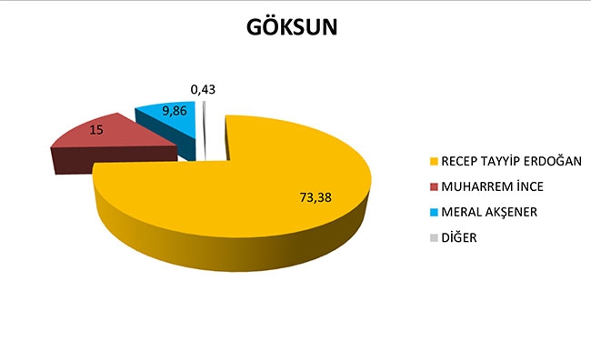 Kahramanmaraş'ta ilçelerde Cumhur ittifak'ına ve Erdoğan'a... 5