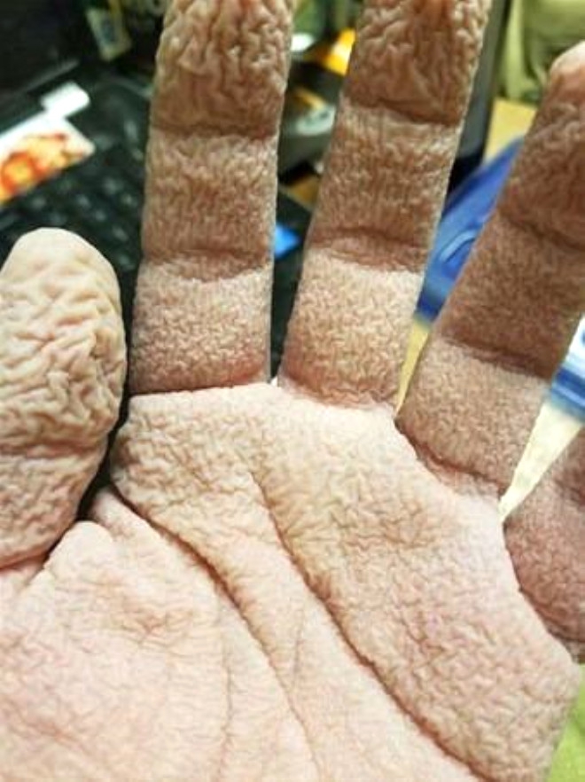 NE OLDUĞUNU KİMSE TAHMİN EDEMİYOR! İŞTE "YOK ARTIK" DEDİRTEN İLGİNÇ FOTO 13