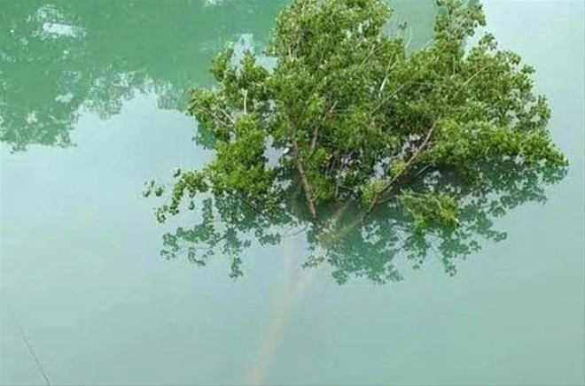 NE OLDUĞUNU KİMSE TAHMİN EDEMİYOR! İŞTE "YOK ARTIK" DEDİRTEN İLGİNÇ FOTO 16