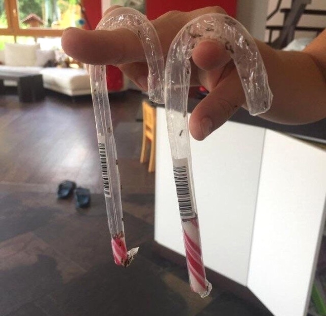 NE OLDUĞUNU KİMSE TAHMİN EDEMİYOR! İŞTE "YOK ARTIK" DEDİRTEN İLGİNÇ FOTO 19