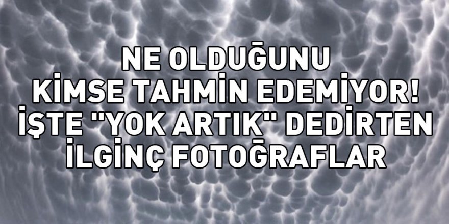 NE OLDUĞUNU KİMSE TAHMİN EDEMİYOR! İŞTE "YOK ARTIK" DEDİRTEN İLGİNÇ FOTO