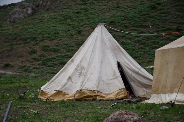 Terörün kökü kazındı, yaylalar şenlendi 10