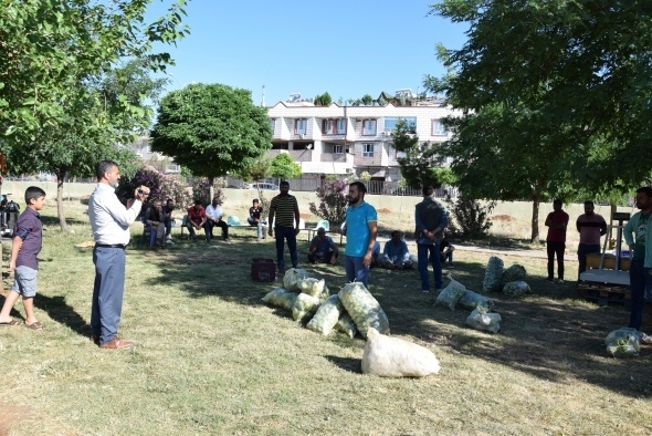 Dışı karpuz, içi kavun, tadı salatalık gibi 11