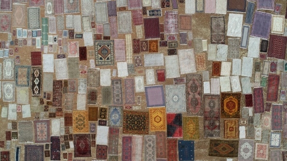 Halı tarlaları sezonu açtı, buğday arazilerinde renk cümbüşü yaşandı 1