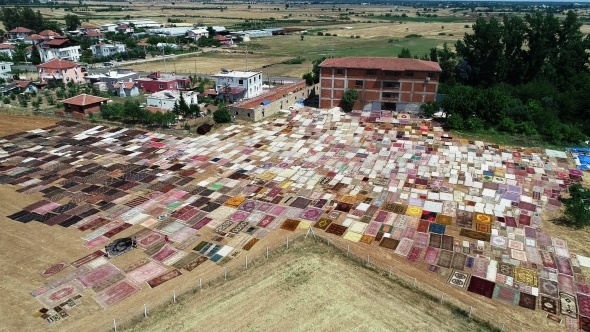 Halı tarlaları sezonu açtı, buğday arazilerinde renk cümbüşü yaşandı 11