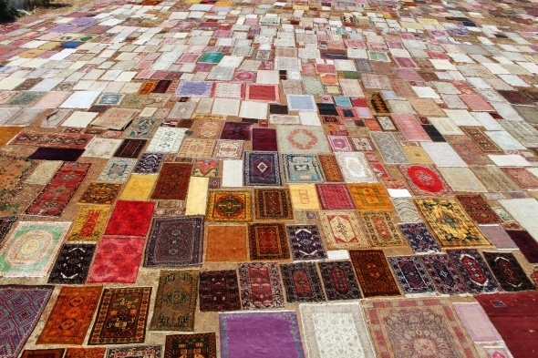 Halı tarlaları sezonu açtı, buğday arazilerinde renk cümbüşü yaşandı 12