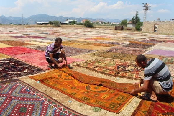 Halı tarlaları sezonu açtı, buğday arazilerinde renk cümbüşü yaşandı 13