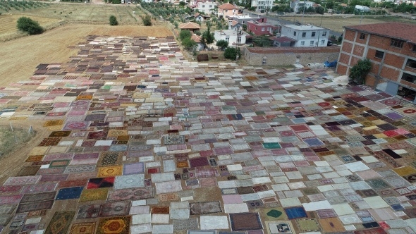 Halı tarlaları sezonu açtı, buğday arazilerinde renk cümbüşü yaşandı 2