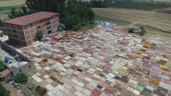 Halı tarlaları sezonu açtı, buğday arazilerinde renk cümbüşü yaşandı 3