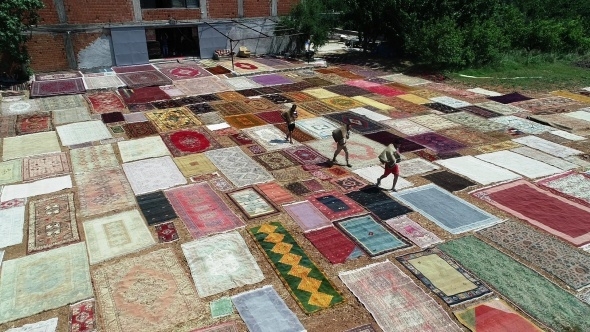 Halı tarlaları sezonu açtı, buğday arazilerinde renk cümbüşü yaşandı 6