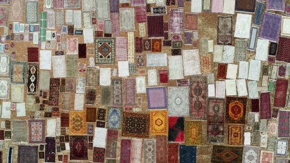 Halı tarlaları sezonu açtı, buğday arazilerinde renk cümbüşü yaşandı 8