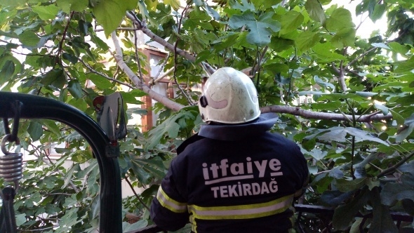 Yılanlar her yeri sardı! Uyarı geldi - Vatandaşlar tedirgin... 12