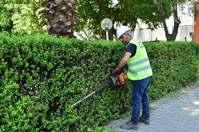 Dulkadiroğlu’nda park ve bahçe bakımları yapılıyor 4