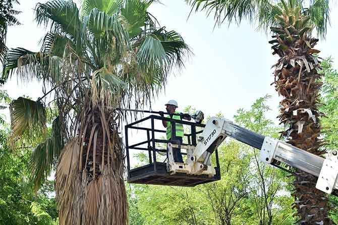Dulkadiroğlu’nda park ve bahçe bakımları yapılıyor 5