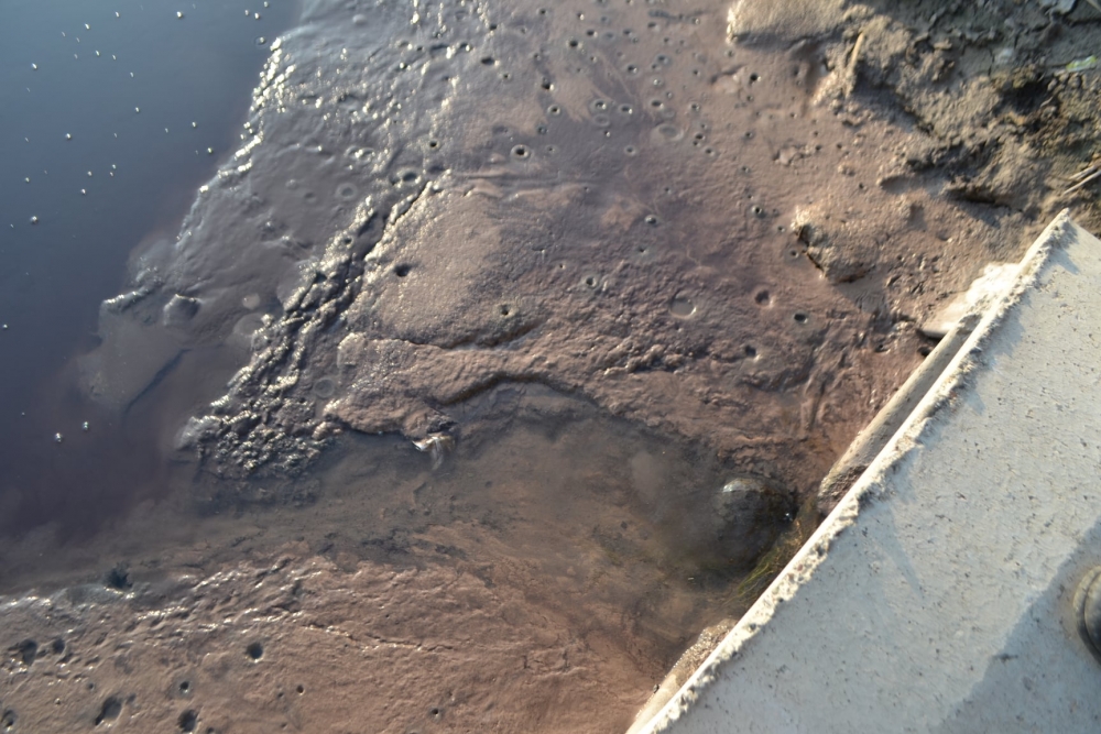 Kahramanmaraş’ta çevre kirliliğine dikkat çektiler 11