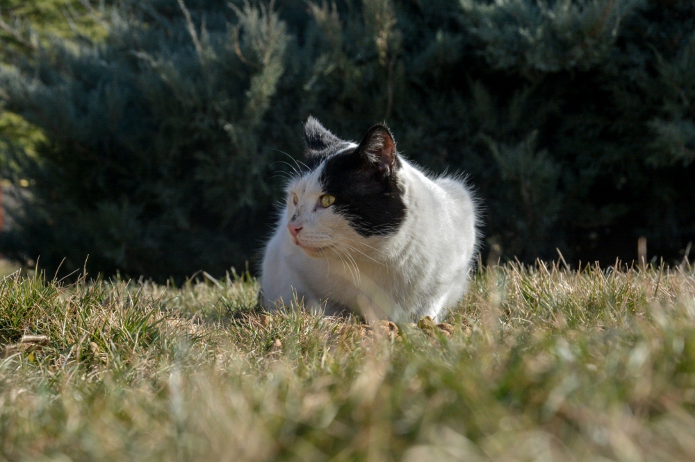 Kahramanmaraş’ta sokağa çıkma yasağında unutulmadılar 3