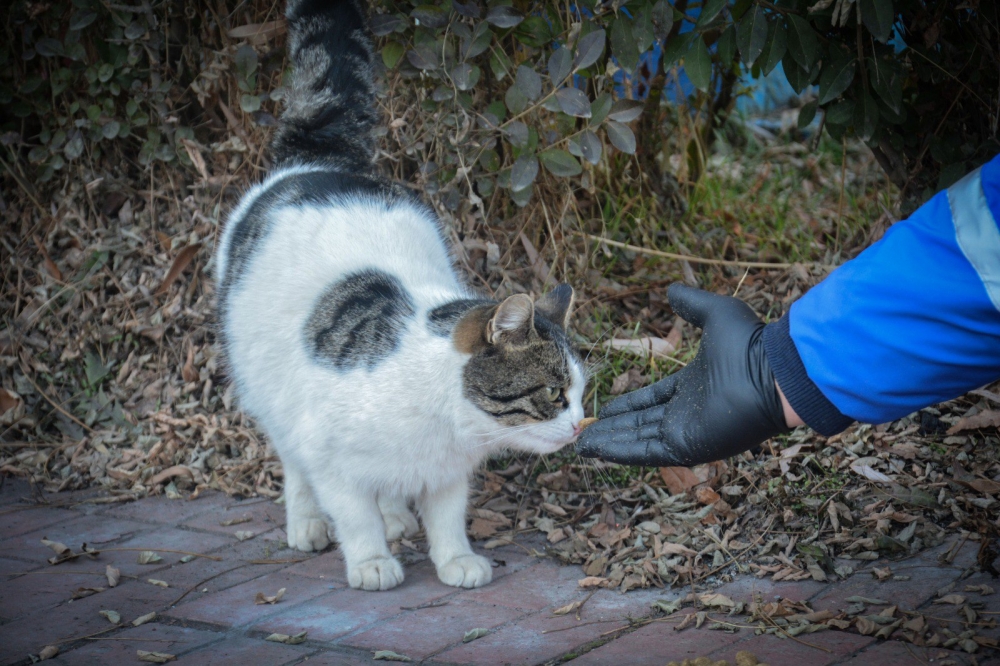 Kahramanmaraş’ta sokağa çıkma yasağında unutulmadılar 4