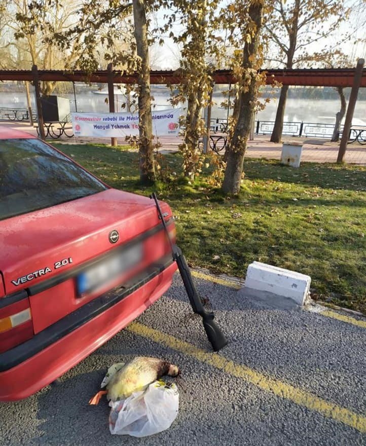 Kahramanmaraş'ta havalı tüfekle ördek avına ceza 2