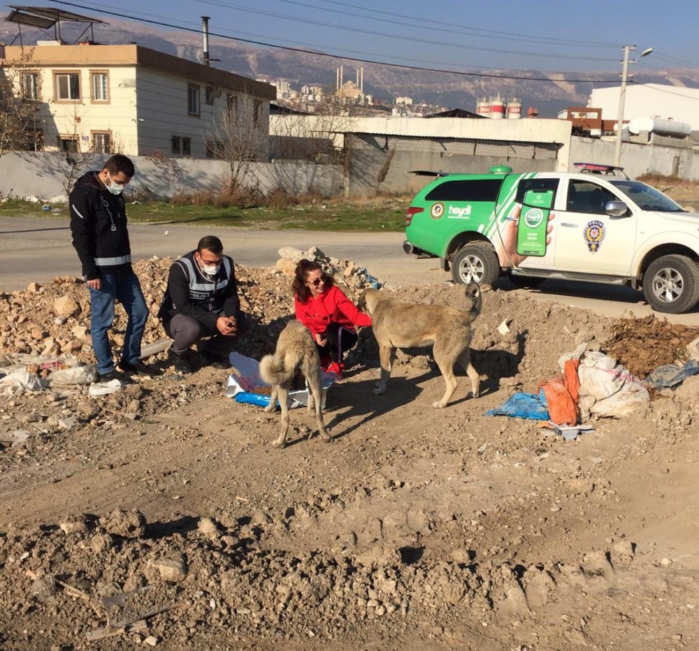 Kahramanmaraş'ta polis ekiplerinden sokak hayvanlarına yılbaşı sürprizi 1