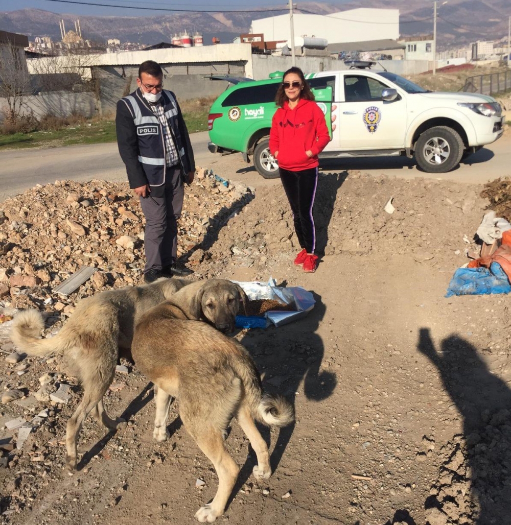 Kahramanmaraş'ta polis ekiplerinden sokak hayvanlarına yılbaşı sürprizi 2