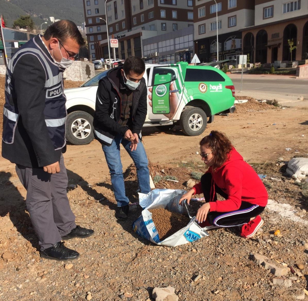 Kahramanmaraş'ta polis ekiplerinden sokak hayvanlarına yılbaşı sürprizi 4