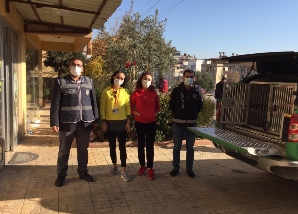 Kahramanmaraş'ta polis ekiplerinden sokak hayvanlarına yılbaşı sürprizi 5