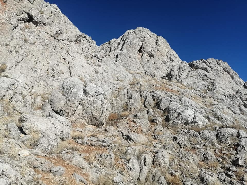 Kahramanmaraş’ta yaban keçilerine foto kapanlı takip 4