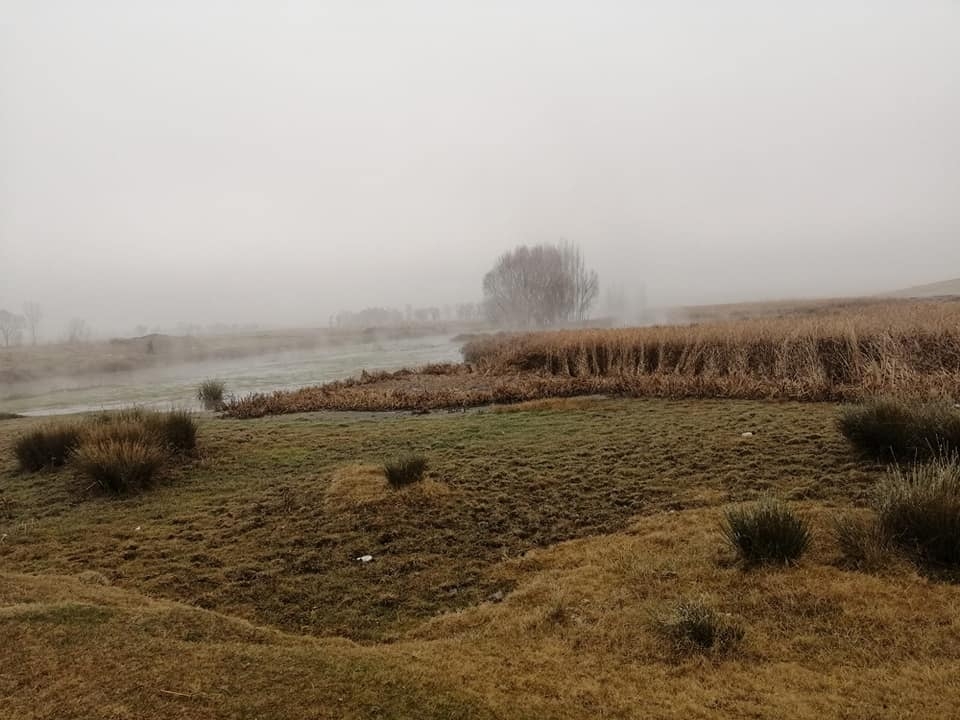 Kahramanmaraş'ta yakalanacağını anlayınca tüfeğini bırakıp kaçtı 1
