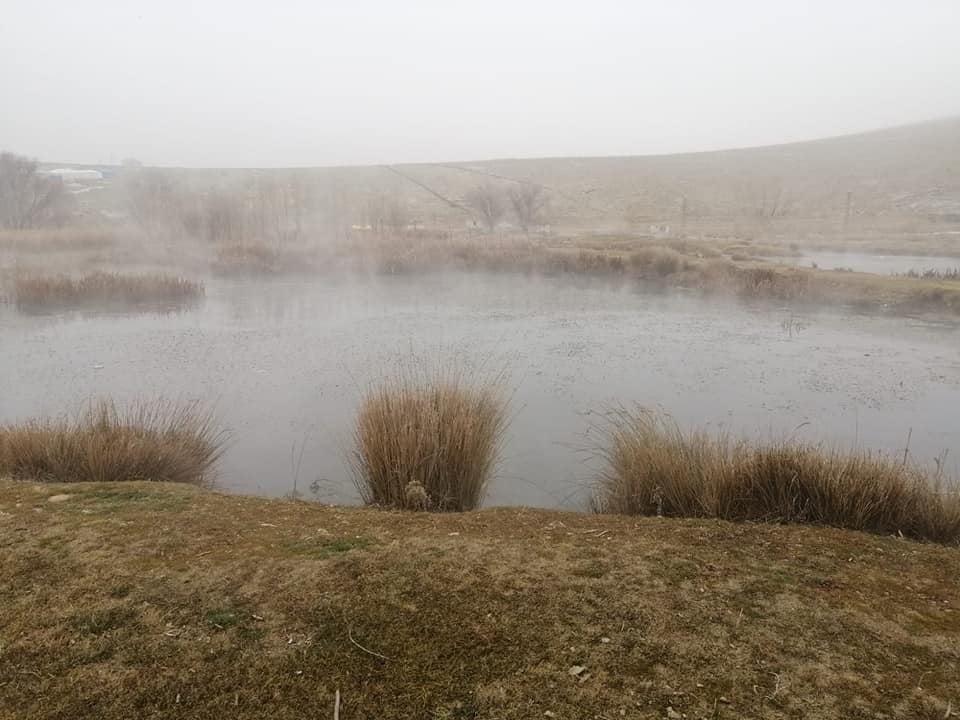 Kahramanmaraş'ta yakalanacağını anlayınca tüfeğini bırakıp kaçtı 3
