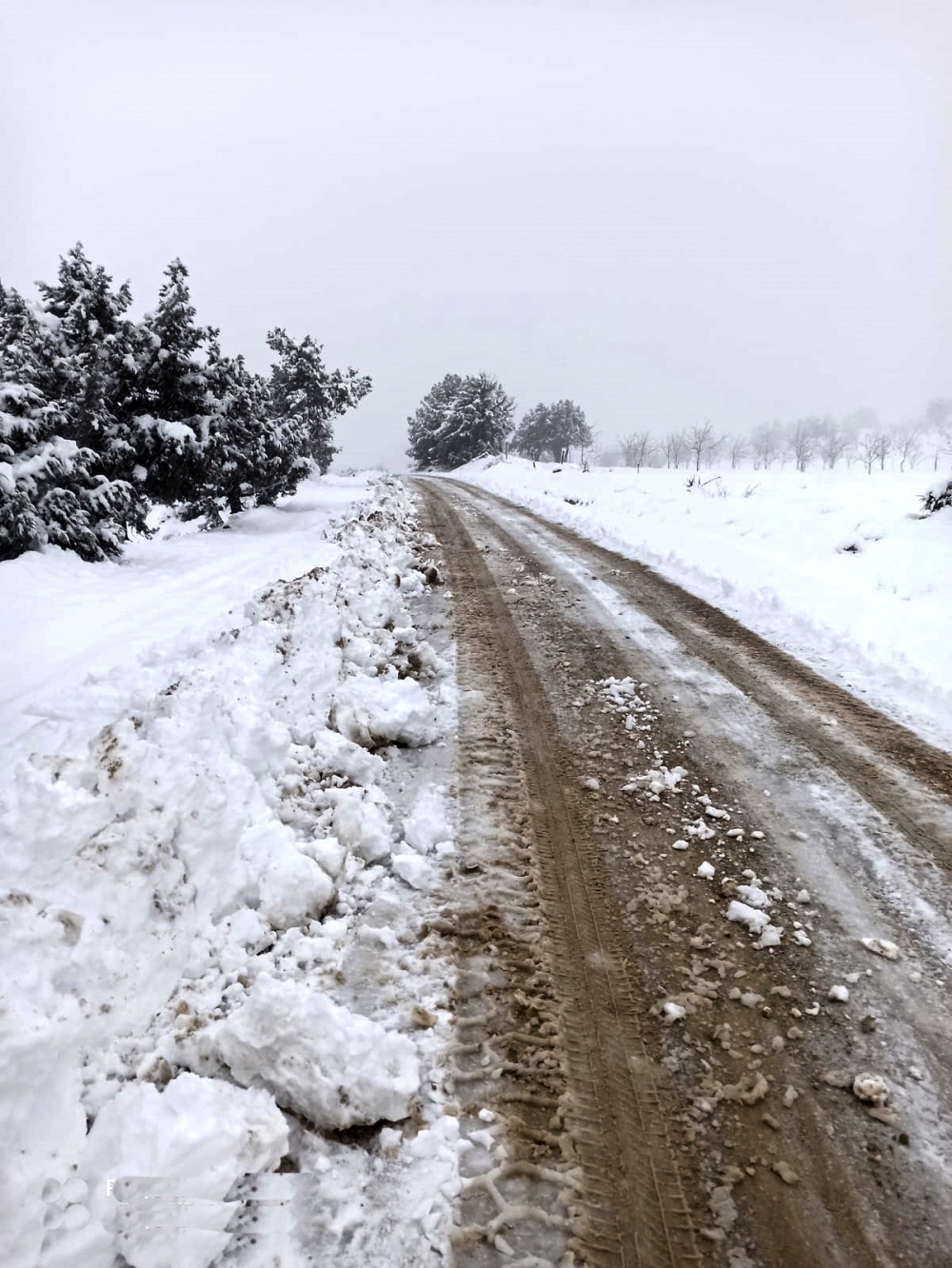 Kahramanmaraş'ta karla mücadele devam ediyor 3