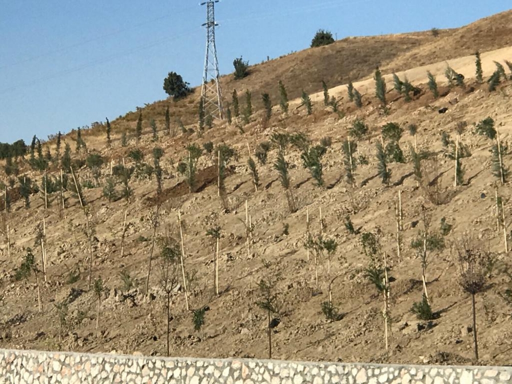 Kahramanmaraş Edebiyat yoluna 100 bin fidan dikildi 2