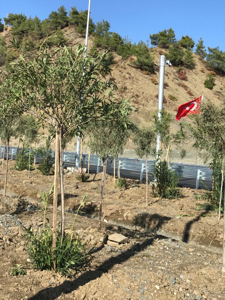 Kahramanmaraş Edebiyat yoluna 100 bin fidan dikildi 3