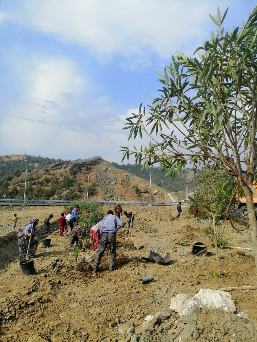 Kahramanmaraş Edebiyat yoluna 100 bin fidan dikildi 4