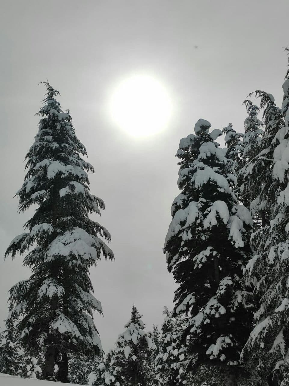 Kahramanmaraş'ta kar kalınlığı 1 metreyi aştı 2