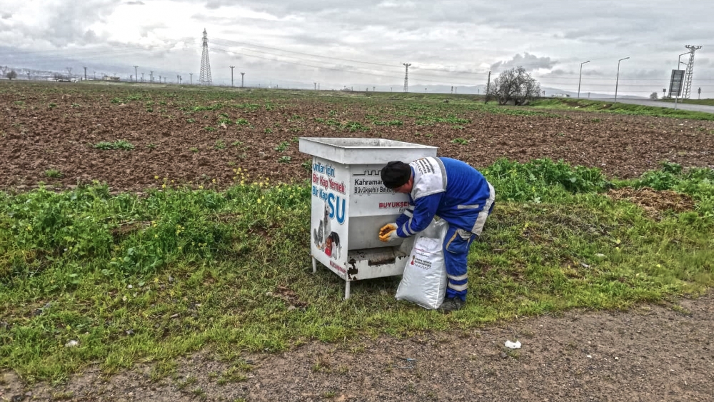 Kahramanmaraş'ta sokaktaki canlar unutulmadı 1