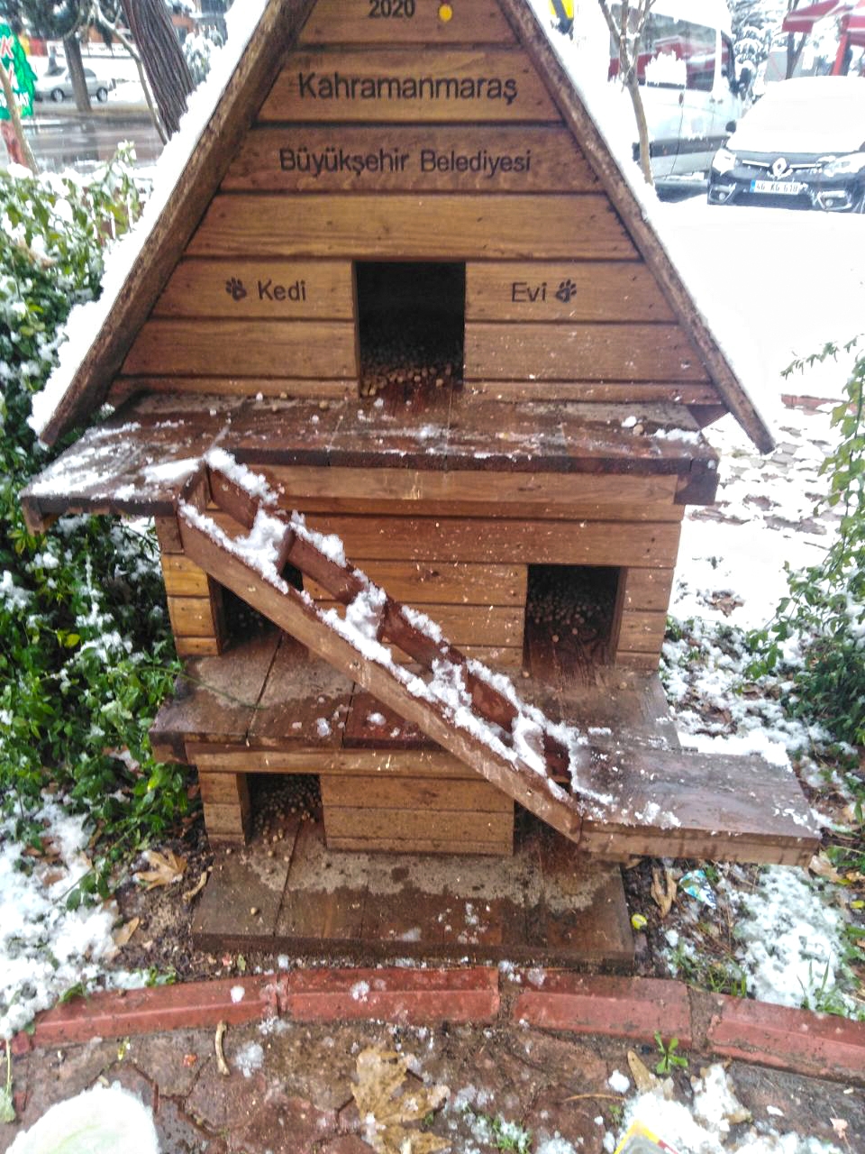 Kahramanmaraş'ta sokaktaki canlar unutulmadı 10