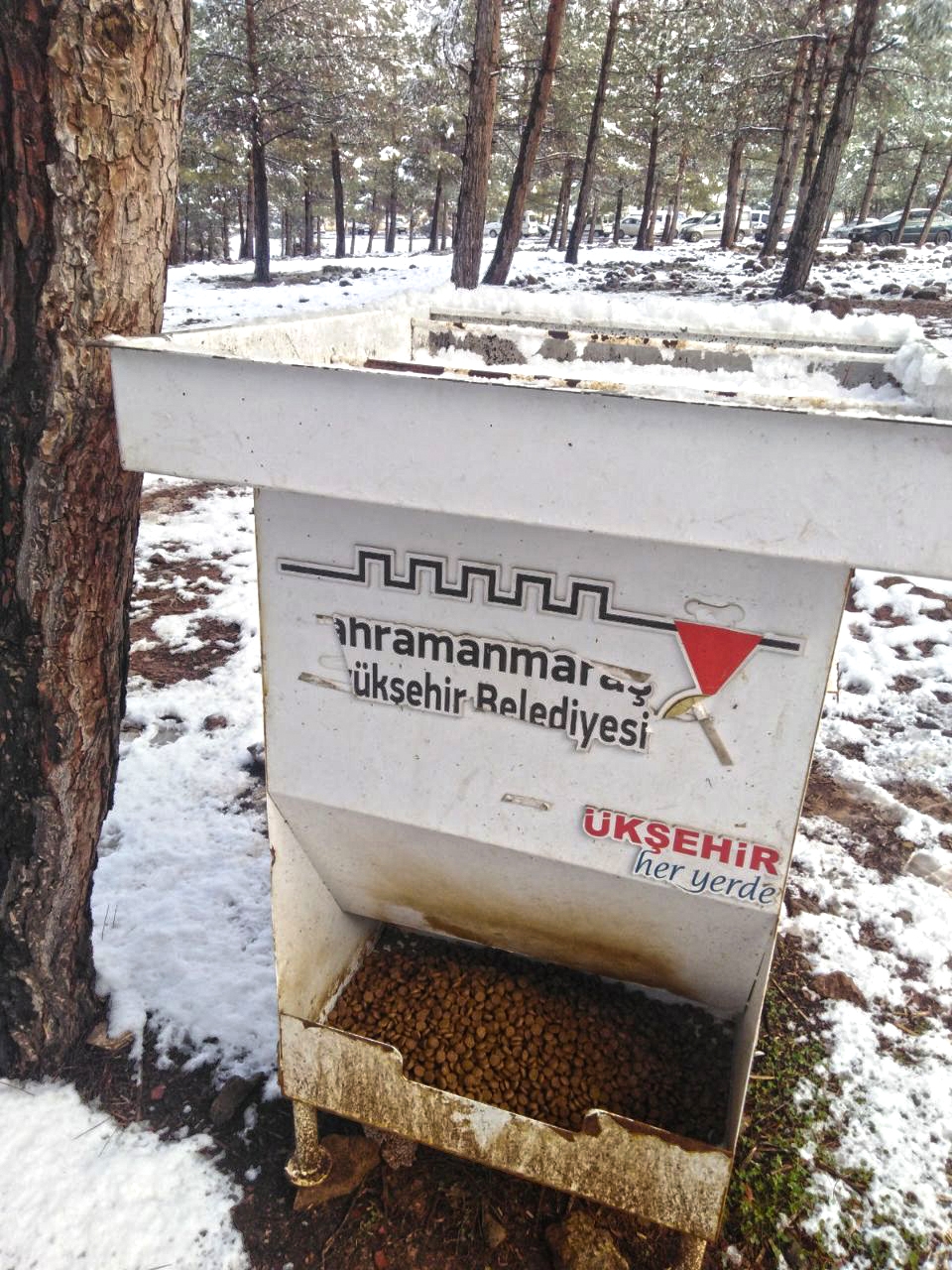 Kahramanmaraş'ta sokaktaki canlar unutulmadı 6