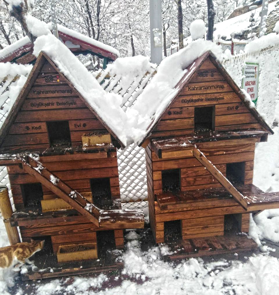 Kahramanmaraş'ta sokaktaki canlar unutulmadı 7