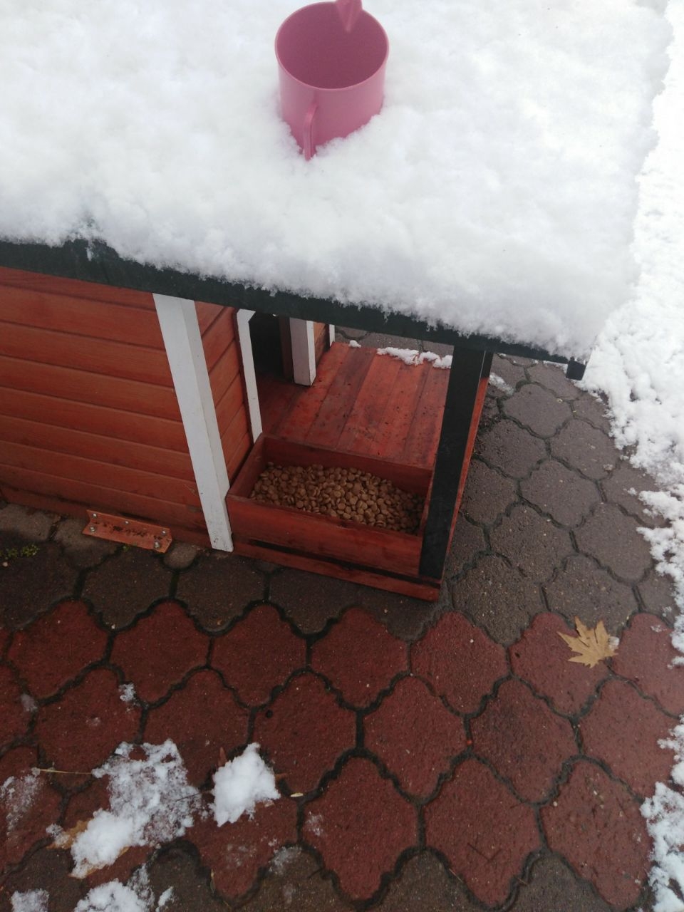 Kahramanmaraş'ta sokaktaki canlar unutulmadı 8