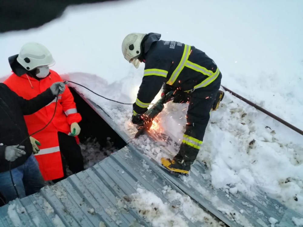 Kahramanmaraş'ta yoğun kar yağışı sonrası ahırların çatısı çöktü 1
