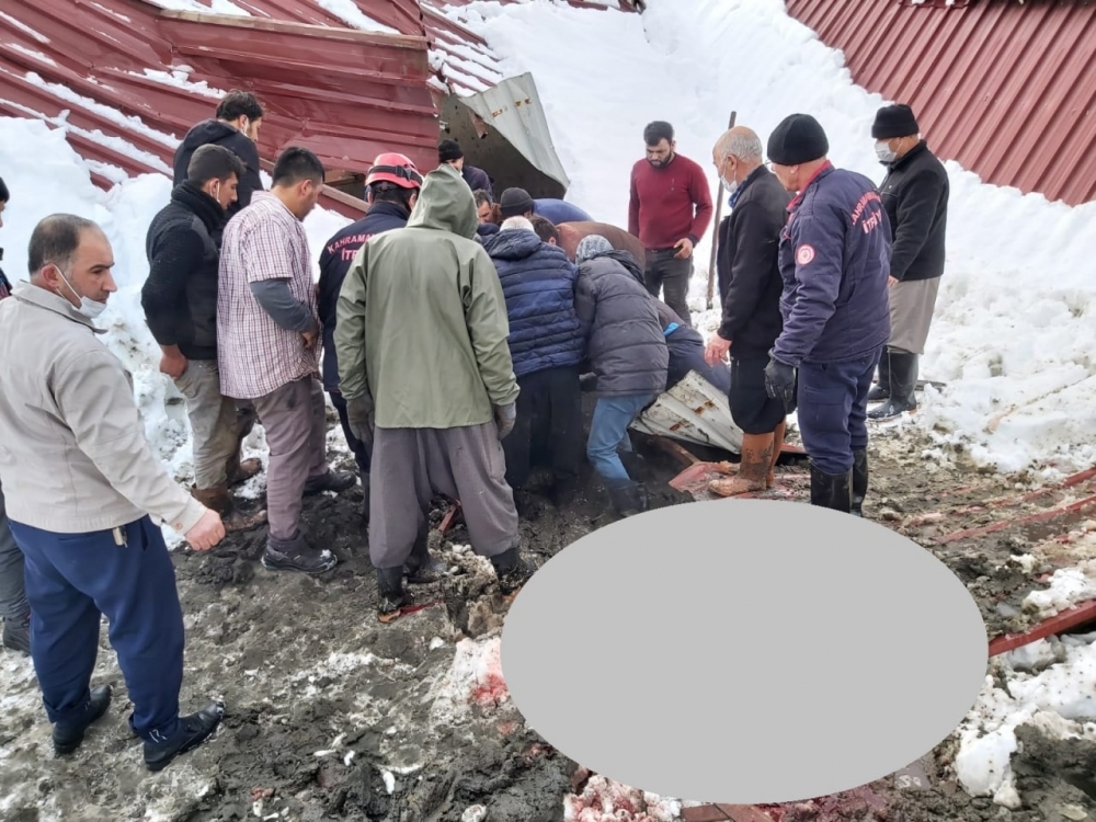 Kahramanmaraş'ta yoğun kar yağışı sonrası ahırların çatısı çöktü 3