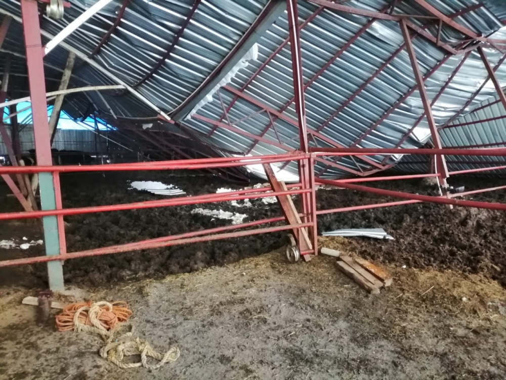 Kahramanmaraş'ta yoğun kar yağışı sonrası ahırların çatısı çöktü 7