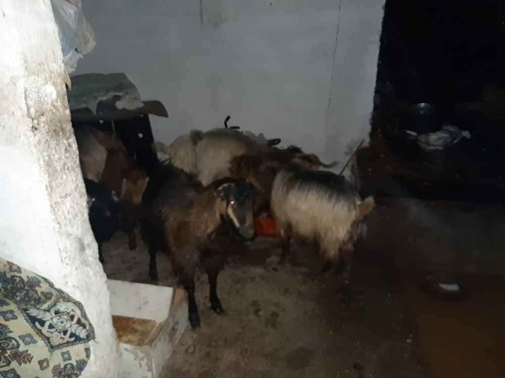 Kahramanmaraş’ta su baskınına itfaiyeden müdahale 4