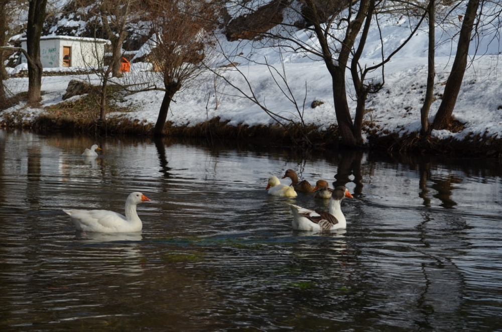 Kahramanmaraş’ın saklı cenneti ‘Yeşilgöz’ beyaz gelindiğini giydi 2