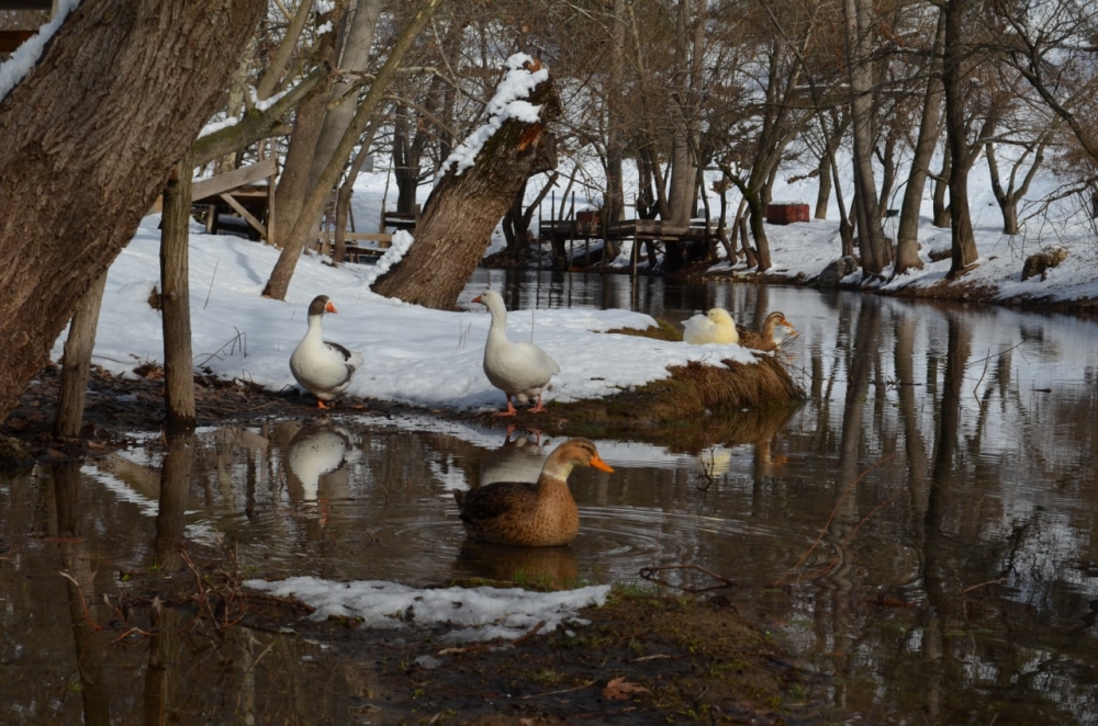 Kahramanmaraş’ın saklı cenneti ‘Yeşilgöz’ beyaz gelindiğini giydi 5