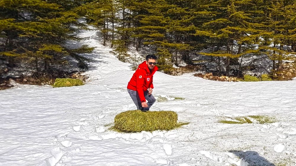 Kahramanmaraş'ta yaban hayatı unutulmadı 1