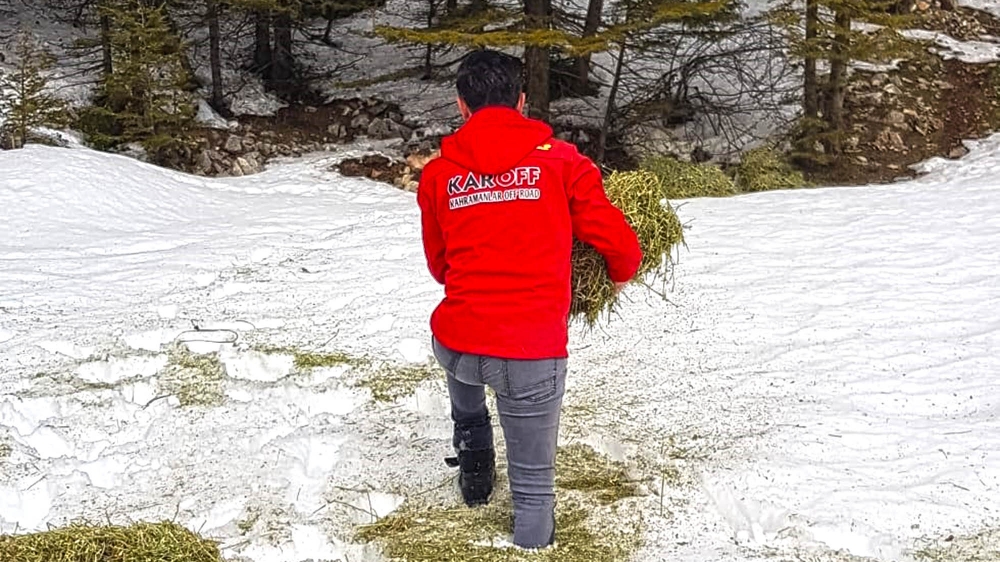 Kahramanmaraş'ta yaban hayatı unutulmadı 2