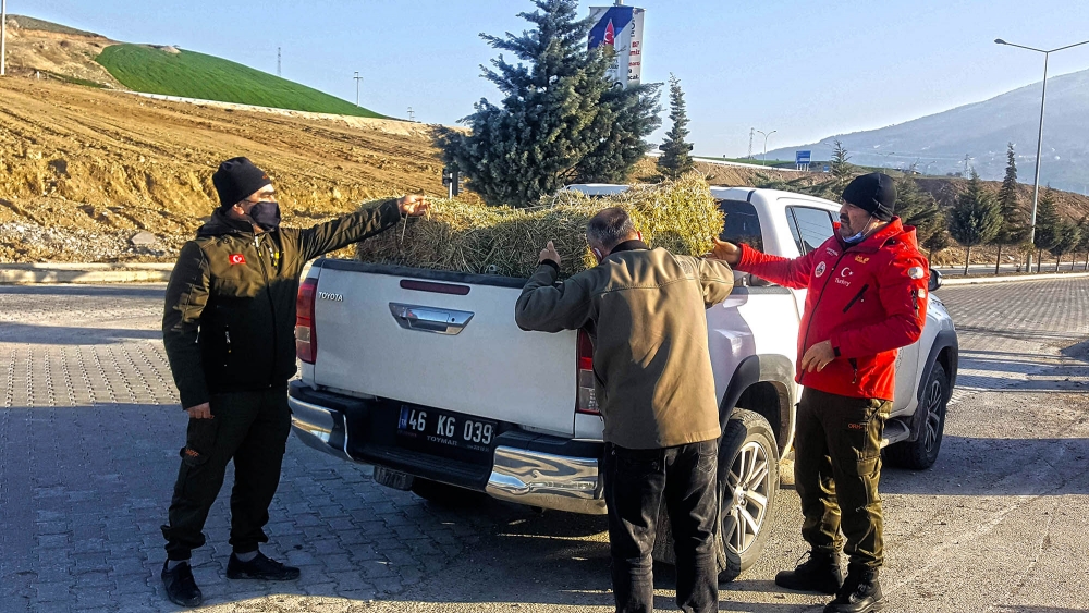 Kahramanmaraş'ta yaban hayatı unutulmadı 4