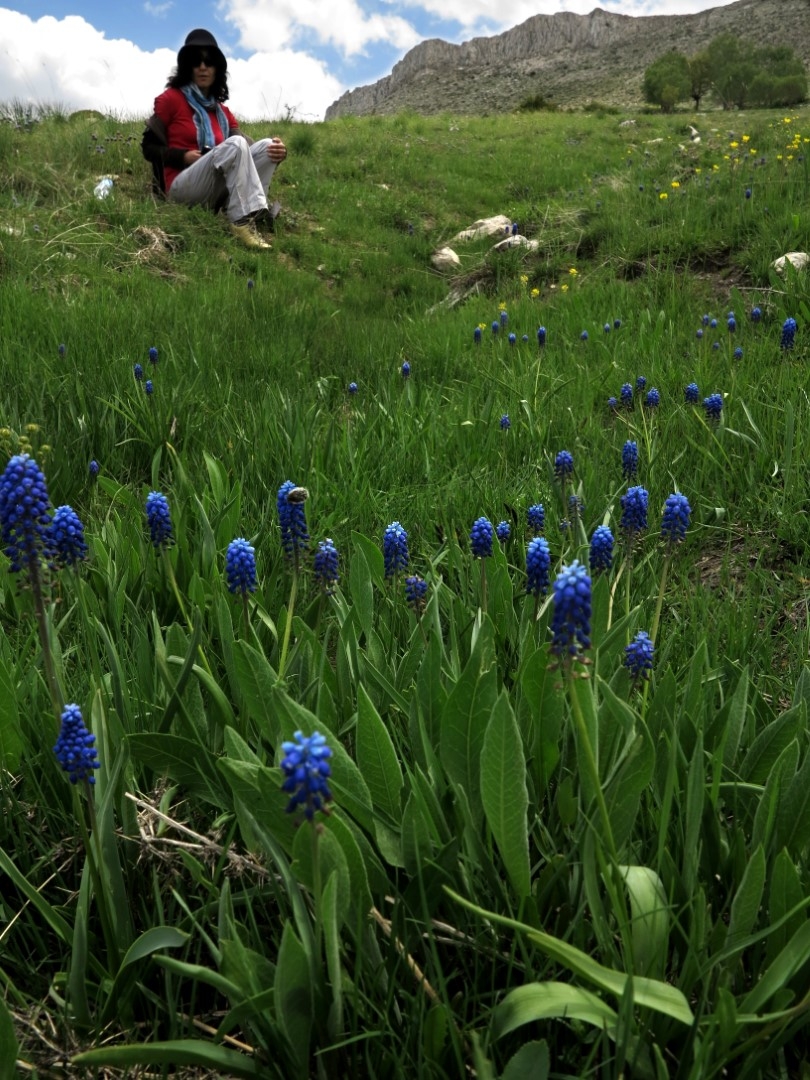1.Ulusal Afşin Fotokampı düzenlenecek! 7