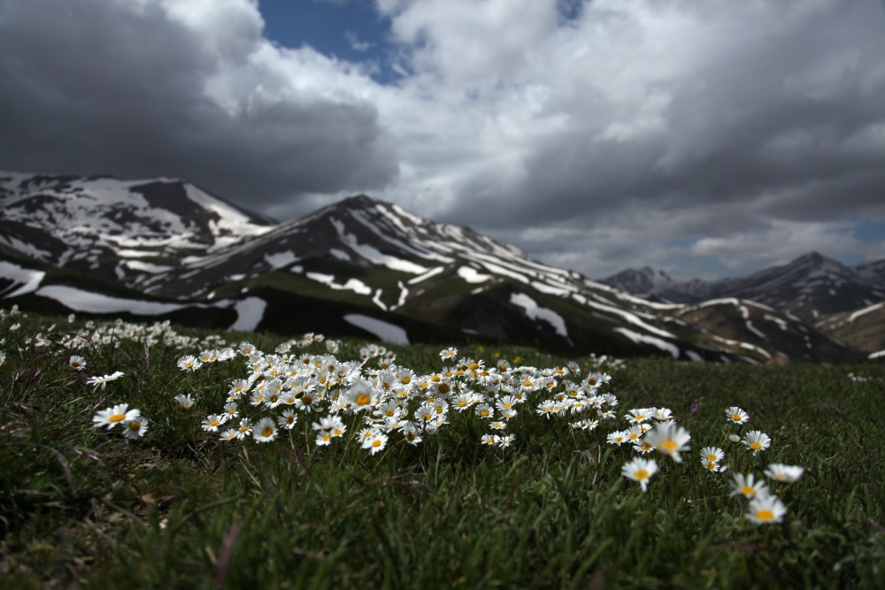1.Ulusal Afşin Fotokampı düzenlenecek! 8